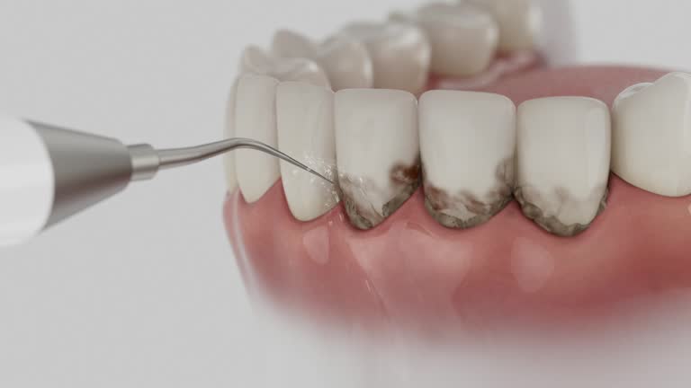 Reliable Dental contractor in Mingo County County, WV by Dentist Open Now